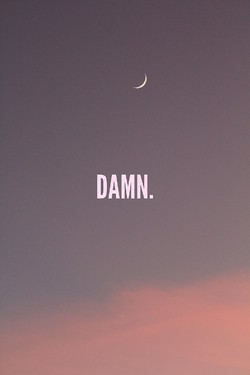 damn (2013)