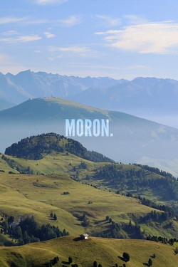moron (2013)