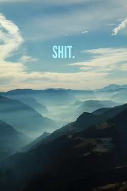 shit (2013)