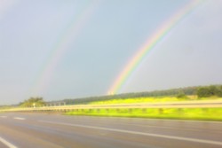 catching the rainbow (2011)