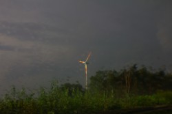 raining wind (2011)
